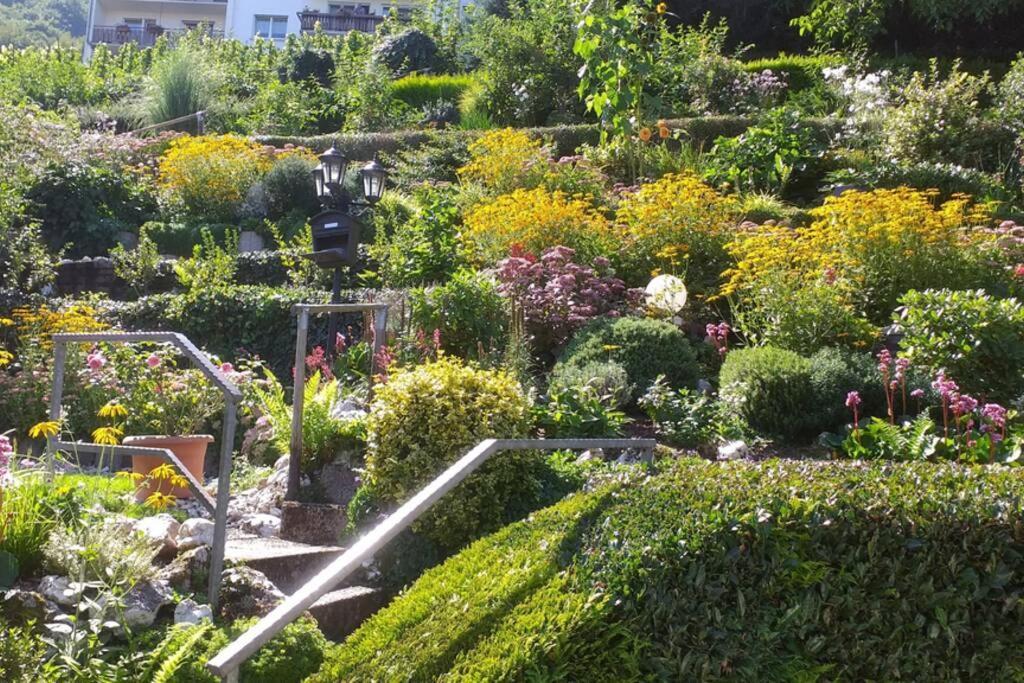 Haus Weingarten Kövenig المظهر الخارجي الصورة
